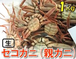 1118 【魚倉】活お任せセコガニ1kgセット