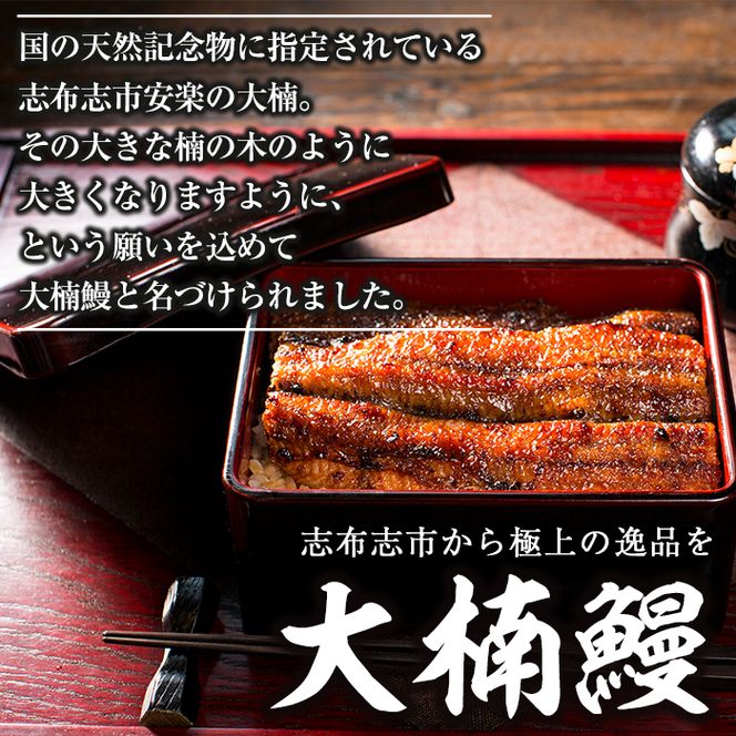 うなぎの大楠＜大＞2尾セット計300g(150g×2) a5-244
