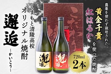 くまもと清陵高校オリジナル焼酎 邂逅（かいこう）720ml×2本《60日以内に出荷予定(土日祝除く)》熊本県 南阿蘇村 学校法人熊ゼミ学園くまもと清陵高等学校 芋 焼酎---sms_seisyo_60d_21_13000_2i---