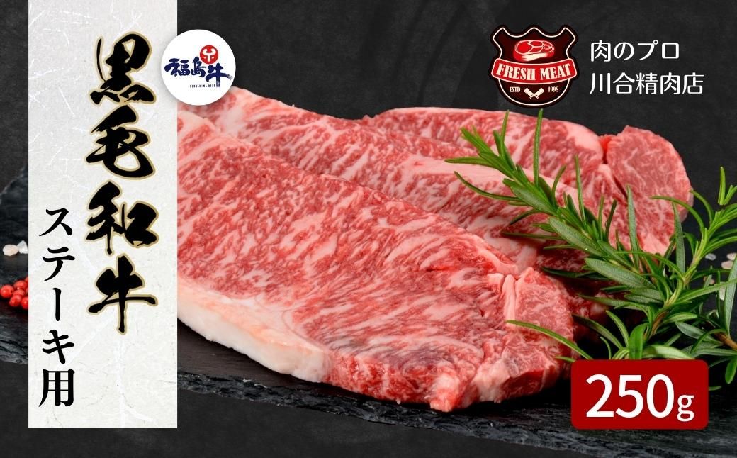 [ 福島牛 ] 黒毛和牛 サーロインステーキ用 1枚 (250g) ステーキ肉 冷凍保存 肉 牛肉 焼肉 ステーキ 人気 ランキング おすすめ グルメ ギフト 福島県 田村市 川合精肉店 N09-M10-04