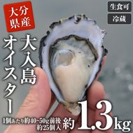 真ガキ 大入島オイスター (約1.3kg) 牡蠣 カキ 貝 海鮮 魚介類 冷蔵 生食可 シングルシード 養殖 大分県 佐伯市【ED08】【(合)新栄丸】