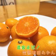 農家直送！ 完熟 有田 みかん 3ｋｇ+300g(サイズ混合)【先行予約】【2024年11月中旬～12月下旬発送】AO063