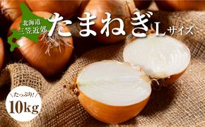 三笠aroundたまねぎＬサイズ10kg《11月下旬頃より発送予定》【3300402】
