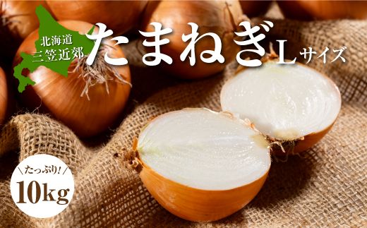 ykCO}szO}around܂˂kTCY10kgs11{蔭\ty3300402z