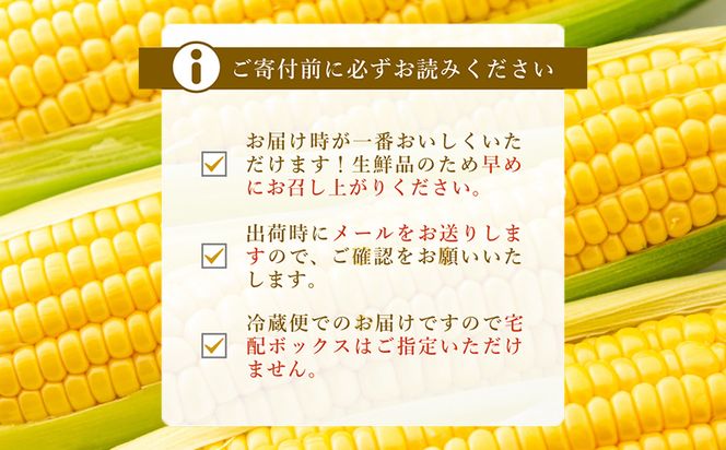 【ふるさと納税】【2026年先行予約】山梨県産 ヤングコーン 30本入｜朝採れ もぎたて発送 ヒゲ付き 甘い 国産 とうもろこし トウモロコシ 野菜 産地直送 送料無料【炭香ファーム】FC004