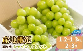 【2026年発送★先行予約】【順次発送】 産地厳選シャインマスカット1.2kg～1.3kg（2房～3房）※沖縄・離島配送不可※ 106-003-sku03-26y