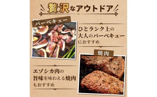 北見エゾシカ 熟成ドライエイジング ヒレステーキ肉 ( 肉 鹿肉 鹿 ヒレ肉 カット ステーキ ジビエ エゾシカ BBQ バーベキュー )【025-0018】