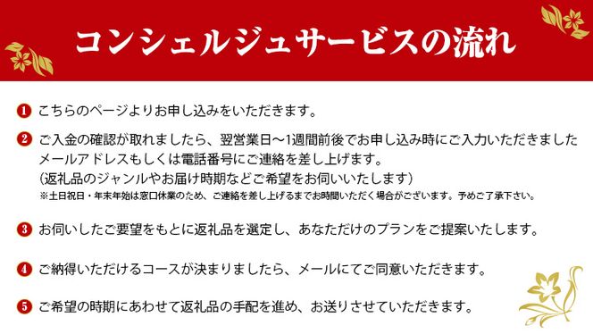 あなただけの プレミアム コンシェルジュ コース ( 50万円 ) 特別 オーダーメイド サービス [ZZ007us]