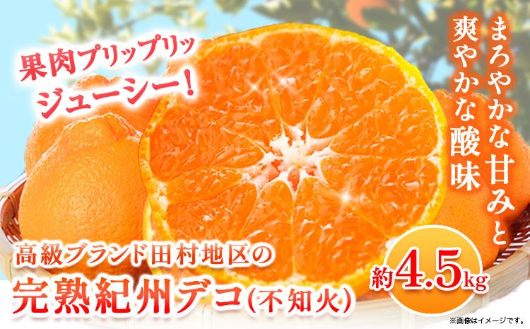 [先行予約]高級ブランド田村の完熟紀州デコ(不知火) 約4.5kg 株式会社 魚鶴商店[2026年2月下旬-3月中頃出荷]和歌山県 日高町 田村地区 不知火 柑橘 果物 フルーツ ブランド果実---wsh_uot123_2g3c_25_18000_45---