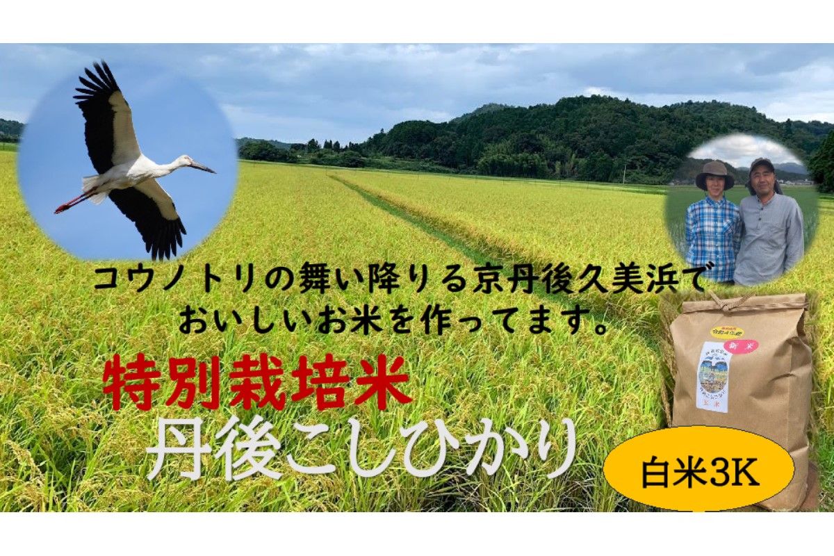 [先行予約]新米[特別栽培米]令和6年産 丹後こしひかり 白米3kg