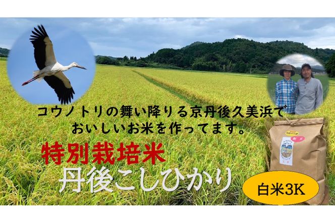 【先行予約】新米【特別栽培米】令和6年産　丹後こしひかり　白米3kg　KU00035