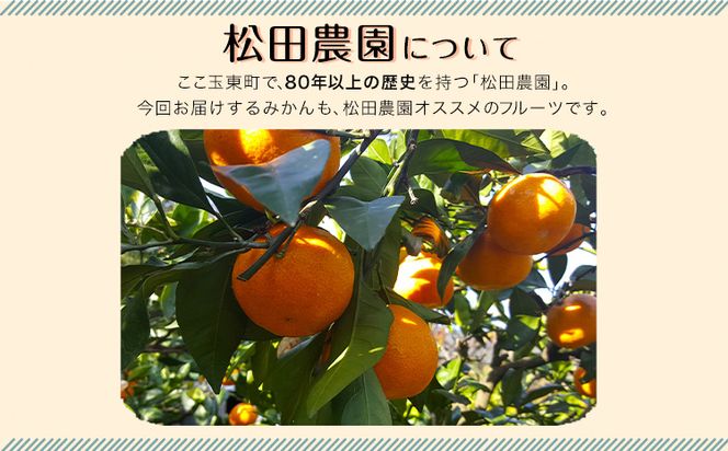 みかん ご家庭用『松田農園』ご家庭用みかん 約5kg(S-2Lサイズ) たっぷり 【日付指定不可】 予約受付中 フルーツ 秋 旬 約5kg 熊本県玉名郡玉東町『松田農園』 こだわり ミカン！ちょこっと 訳あり《10月中旬-12月下旬頃出荷》---gkt_mtd_5_5kg---