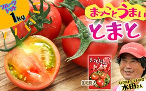 まっことうまい！水田さんのフルーツトマト【約1kg / 化粧箱入】