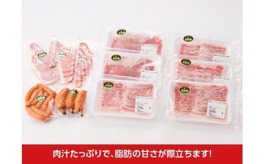 こだわり尾鈴豚セット 【 肉 豚肉 精肉 肉加工品 惣菜 詰め合わせ カタロースしゃぶ用 バラしゃぶ用 バラ焼肉用 骨付きフランク 生ハム ロース あらびきウインナー ロースハム ステーキ 】 [H0403]