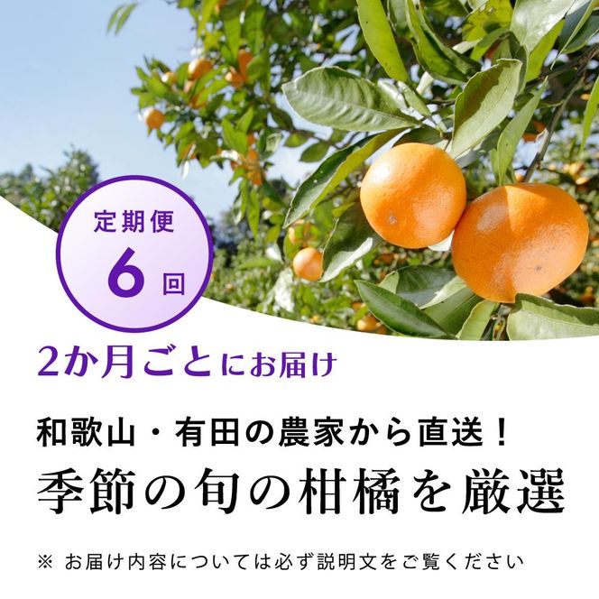 【偶数月 全6回 】 柑橘定期便B【IKE14】BB90148