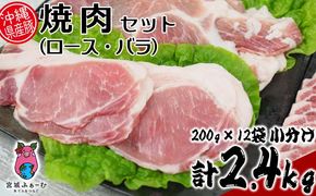 沖縄県産豚肉　焼肉セット（ロース・バラ）計2.4kg　200g×12袋　小分け