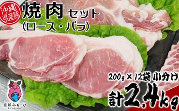 沖縄県産豚肉　焼肉セット（ロース・バラ）計2.4kg　200g×12袋　小分け