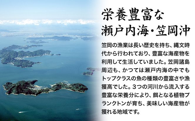 笠岡産 (瀬戸内海産) 殻付き牡蠣 (加熱用) S・Mサイズ混合 4kg 60粒前後《出荷時期が選べる》1月 2月 3月 4月 岡山県 笠岡市 かき カキ 牡蠣 生牡蠣 瀬戸内海産 殻付き---K-46---