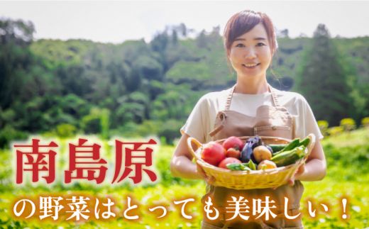 季節の野菜 15種類 セット 旬 産地直送 詰め合わせ / 野菜 南島原市 / ふるさと企画 [SBA023] 