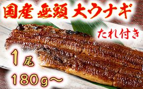 国産うなぎ　備長炭地焼き蒲焼き180g以上×1尾　タレ付き×1【FU01U】