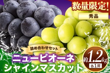 岡山県産 秀品 ニューピオーネ シャインマスカット 詰め合わせ 約1.2kg 2房《9月上旬-10月中旬頃出荷》 葡萄 果物 厳選出荷 スイーツ フルーツ デザート 岡山県矢掛町 数量限定 種なしぶどう---ofn_csnpsm_ae9_26_24000_2---