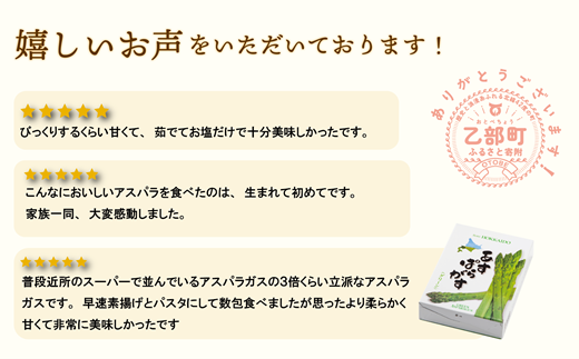 ＜北海道産 春採れグリーンアスパラ ２㎏＞