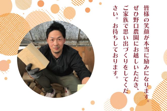 BC003-1 野口農園の米粉を使った本格ピザ作り体験　無料券