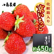 【数量限定】高級 完熟 京いちご 1箱 希少 お楽しみ【紅ほっぺ おいCベリー スターナイト から厳選してお届け】人気 小島農園 減農薬 果実 新鮮 フルーツ 旬 いちご 苺 有名 スイーツ店 御用達 ※2025年1月中旬～5月下旬頃に順次発送予定