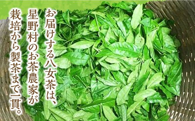 【2024年産】 星野村の八女茶 特上白折れ茶 240g（80g×3本）[ABDD064]