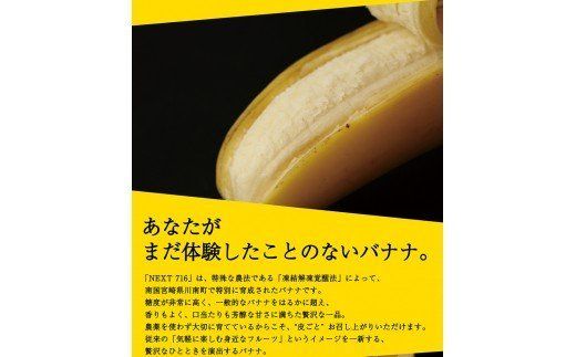 国産バナナNEXT716「6本」レギュラーサイズ【F5806】