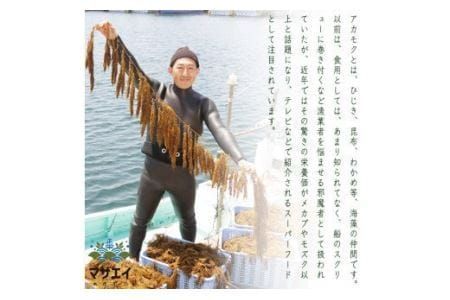 【翌営業日までに発送】宗像のアカモク「あかもっくん」2.0kg(80g×25個)【マサエイ水産加工】_HA0439