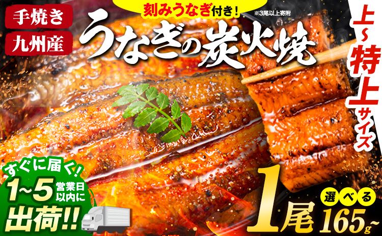 国産 うまか鰻 特上サイズ 1尾 165g[1-5営業日以内に出荷予定(土日祝除く)] 九州産 たれ さんしょう 付き ウナギ 鰻 unagi 蒲焼 うなぎの蒲焼 惣菜 ひつまぶし 特大サイズ 訳あり 蒲焼き ふるさとのうぜい---mf_fskiungkzm_24_s_8000_1p---