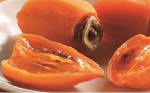 yznƑžb݁uۊ`iI`jv9`12ʁyYzEւ̔zs@2026N1{`2{ɏ\