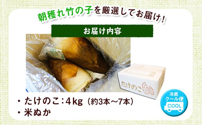 2025年3月先行予約】熊本県 御船町 掘りたて たけのこ 4kg タケノコ