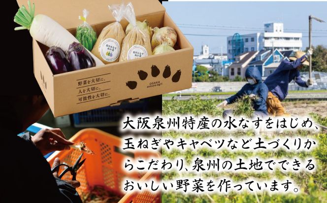099H2857 ねね屋のとれたて野菜セット 5品目以上 詰め合わせ