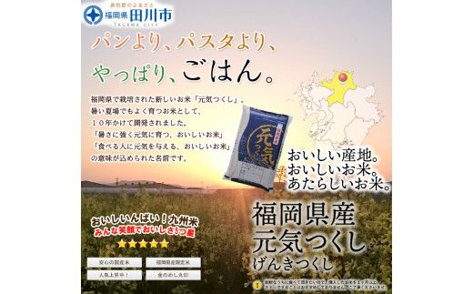 福岡県産元気つくし 10kg(5kg×2)