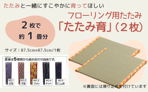 ふるさと納税 ファッション 岡山県 総社市 YANUKオンラインショップ限定クーポン券A（30,000円分）100-010 YANUKオンラインショップ限定クーポン券A（9,000円分）030-008