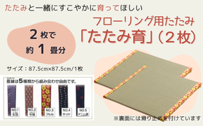 フローリング用たたみ「たたみ育」2枚065-001