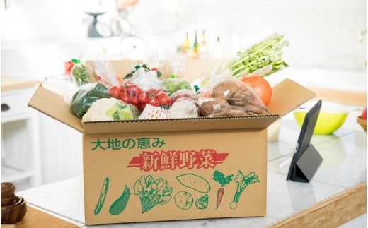 4月からお届け!おおいたの旬野菜定期便/計3回発送_2394R