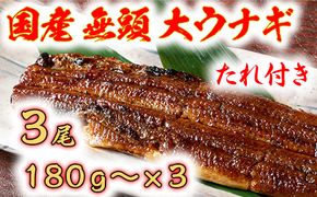 国産うなぎ　備長炭地焼き蒲焼き180g以上×3尾　タレ付き×3【FU03U】