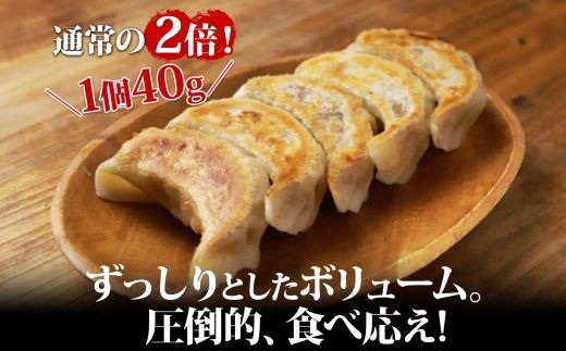 1812. よだれ餃子 10個入 4パック 計40個 餃子 ぎょうざ ギョウザ ギョーザ 生餃子 冷凍 中華 豚 肉 野菜 厚皮 惣菜 お取り寄せ 昇龍軒 送料無料 北海道 弟子屈町 20000円