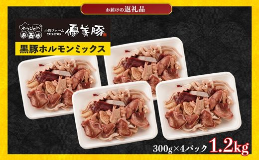 鹿児島県産黒豚「優美豚」黒豚ホルモンミックス　1.2kg（300ｇ×4個）【M631】