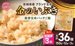 米 【 3回 隔月 定期便 】 宮城県産 金のいぶき 発芽玄米 パックごはん 12個×3回 総計36個 [ JA加美よつば（生活課） 宮城県 加美町 yo00005-3k] レトルト ごはん ご飯 レ