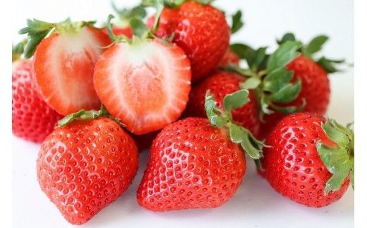 y@szys\zy2025N12{菇zY@3Hהׁ@6pbNZbgyi`bVEt@[EWFCs[z_HA1340