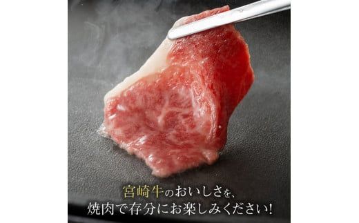 宮崎牛 肩焼肉 400ｇ 【 肉 牛肉 A4～A5等級 宮崎牛 BBQ アウトドア 日本ハム 】 [E11003]