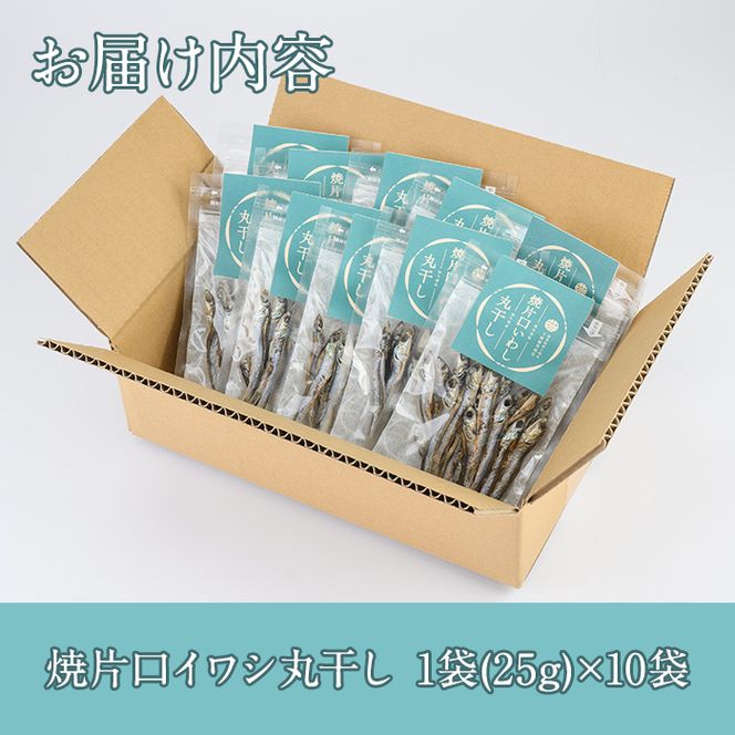 焼片口イワシ丸干し10袋セット(25g×10袋)海産物 いわし 鰯 おつまみ おかず【下園薩男商店】akn086-09
