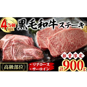 黒毛和牛ステーキ肉高級部位2種＜リブロース・サーロイン＞食べ比べ(計900g) b7-019