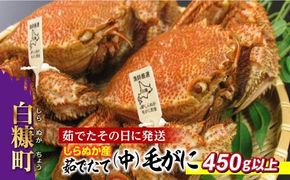 しらぬか産 茹でたて中サイズ毛がに【450g以上】