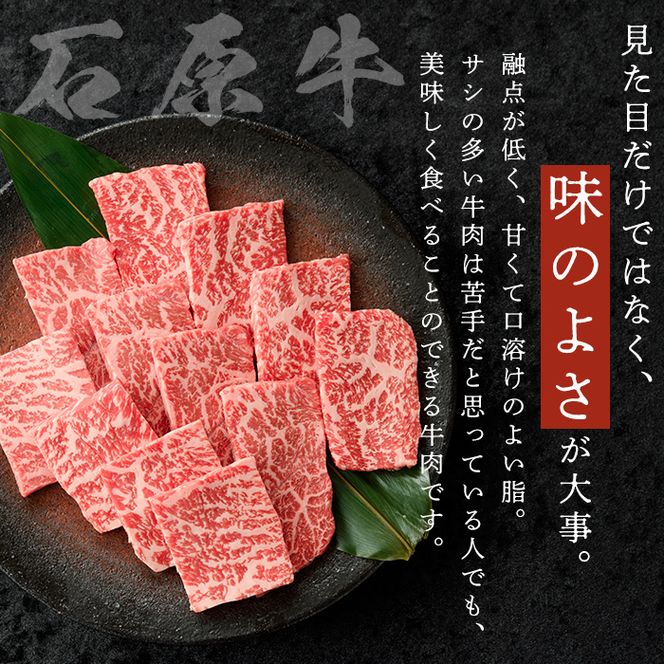 石原牛 赤身モモ 焼肉用(300g) 黒毛和牛 国産 九州産 鹿児島県産 牛肉 ブランド牛 焼肉 BBQ ヘルシー 和牛 赤身 モモ肉 健康志向 冷凍 【株式会社石原PRO】a-22-10-z