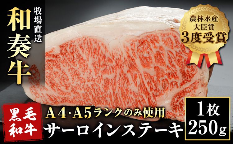 A5 A4 ランク 厳選 くまもと黒毛和牛 サーロインステーキ 1枚(約250g)[30日以内に出荷予定(土日祝除く)] 熊本県 大津町 和牛焼肉LIEBE サーロイン ステーキ 冷蔵 リーベ---so_cliebesir_30d_24_15500_250g---